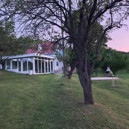 Honey Hill Apartment Fruska Gora Cerevic Екстериор снимка