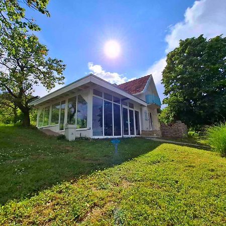 Honey Hill Apartment Fruska Gora Cerevic Екстериор снимка