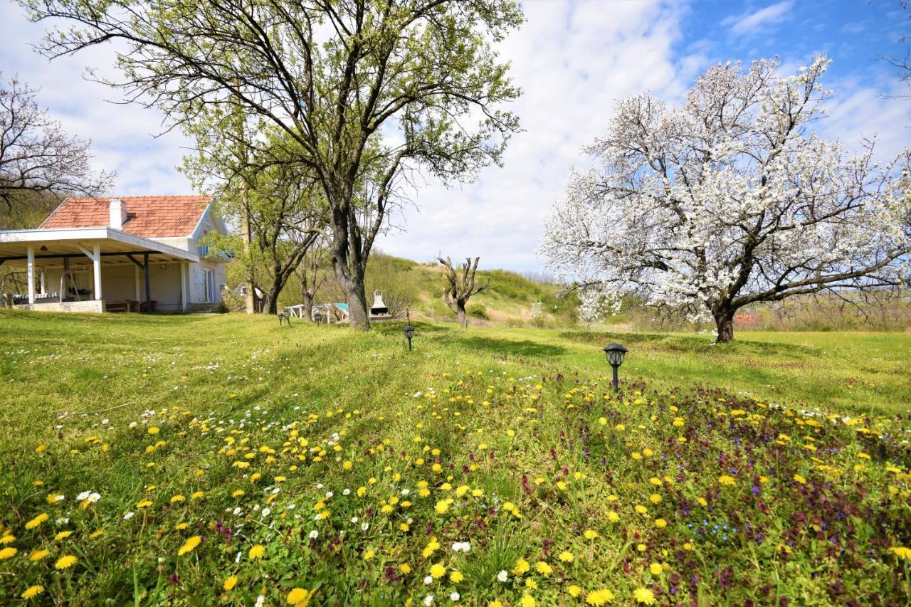 Honey Hill Apartment Fruska Gora Cerevic Екстериор снимка