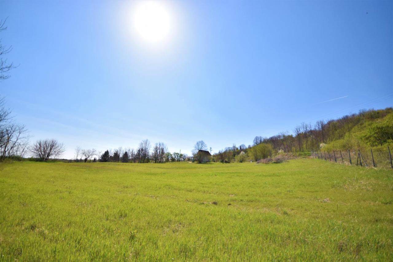 Honey Hill Apartment Fruska Gora Cerevic Екстериор снимка