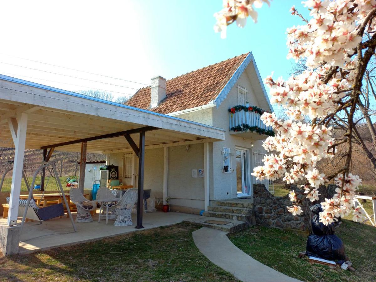 Honey Hill Apartment Fruska Gora Cerevic Екстериор снимка