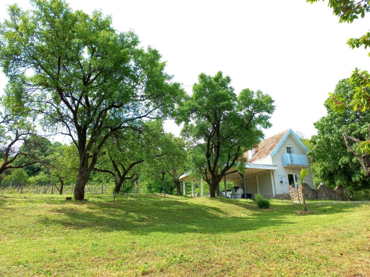 Honey Hill Apartment Fruska Gora Cerevic Екстериор снимка