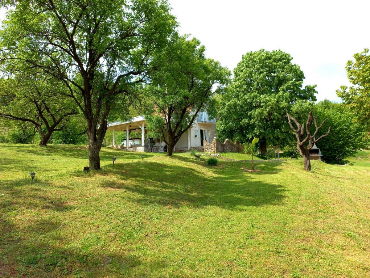 Honey Hill Apartment Fruska Gora Cerevic Екстериор снимка