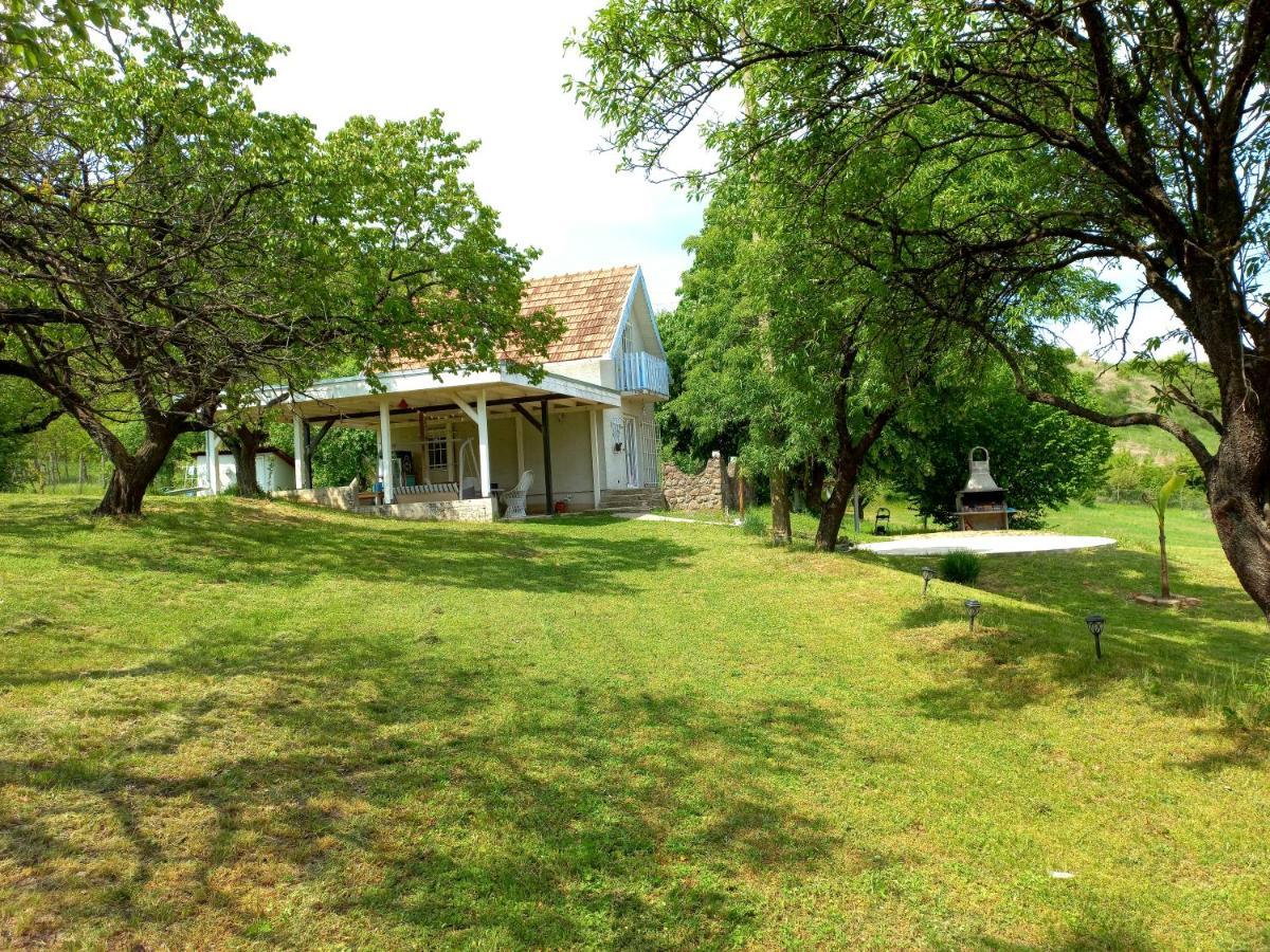 Honey Hill Apartment Fruska Gora Cerevic Екстериор снимка