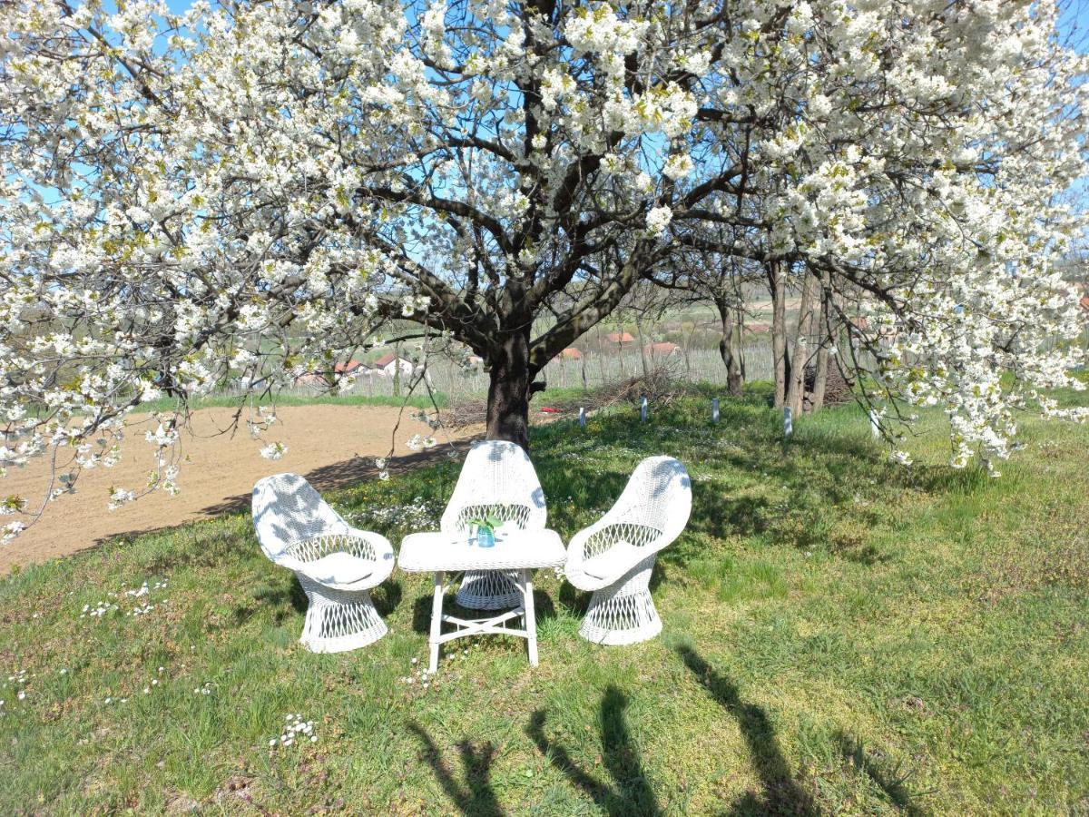 Honey Hill Apartment Fruska Gora Cerevic Екстериор снимка