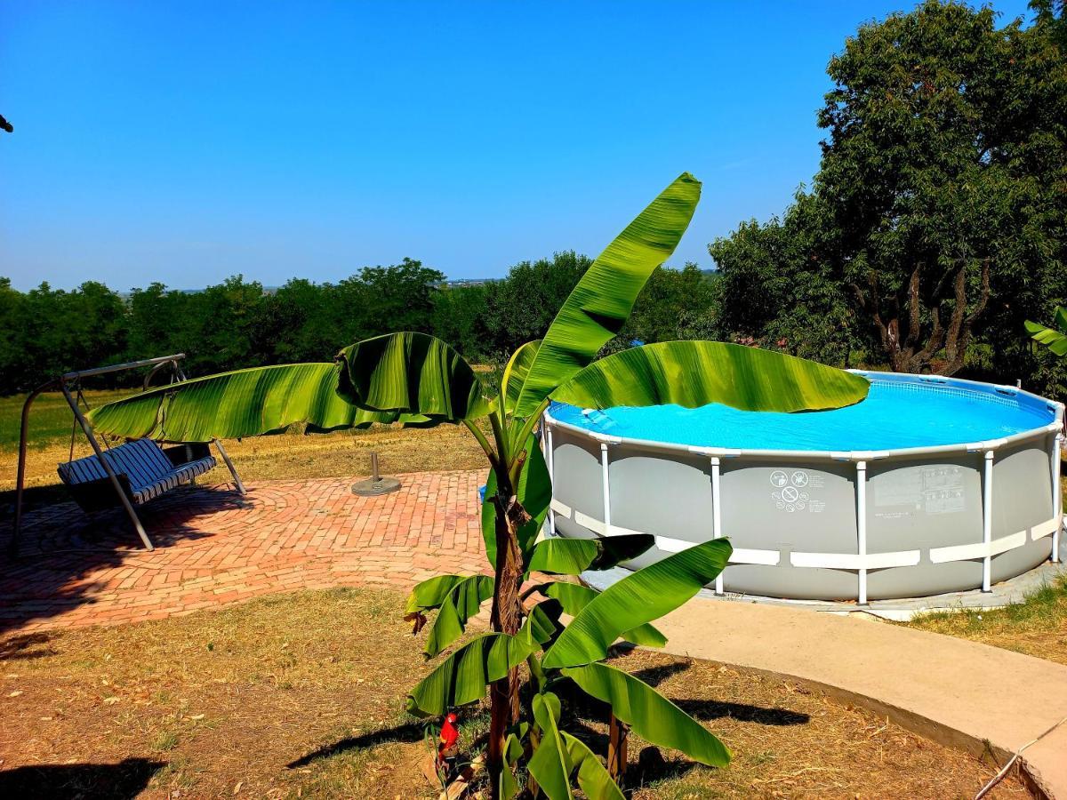 Honey Hill Apartment Fruska Gora Cerevic Екстериор снимка