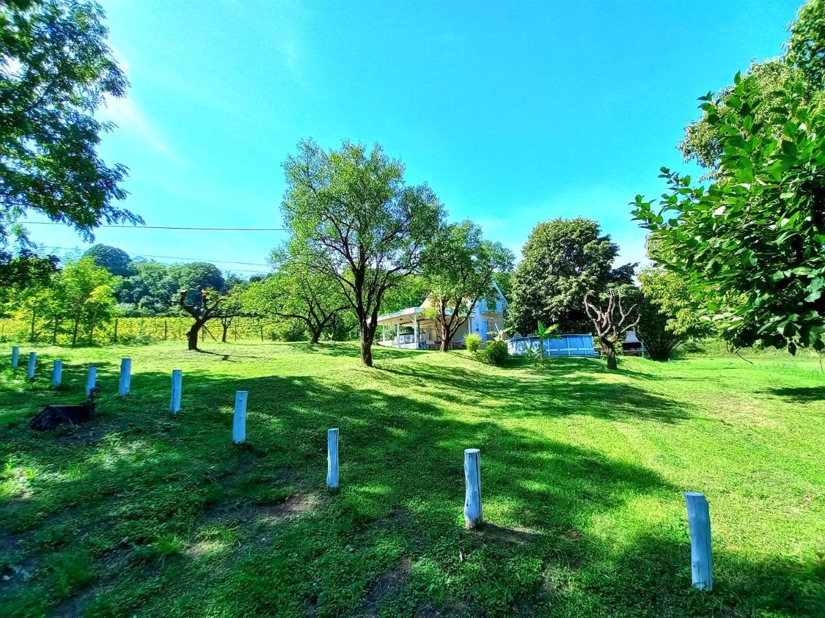 Honey Hill Apartment Fruska Gora Cerevic Екстериор снимка