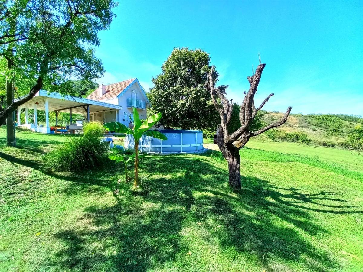 Honey Hill Apartment Fruska Gora Cerevic Екстериор снимка