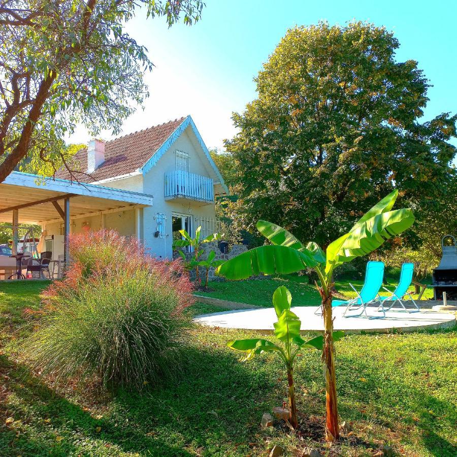 Honey Hill Apartment Fruska Gora Cerevic Екстериор снимка