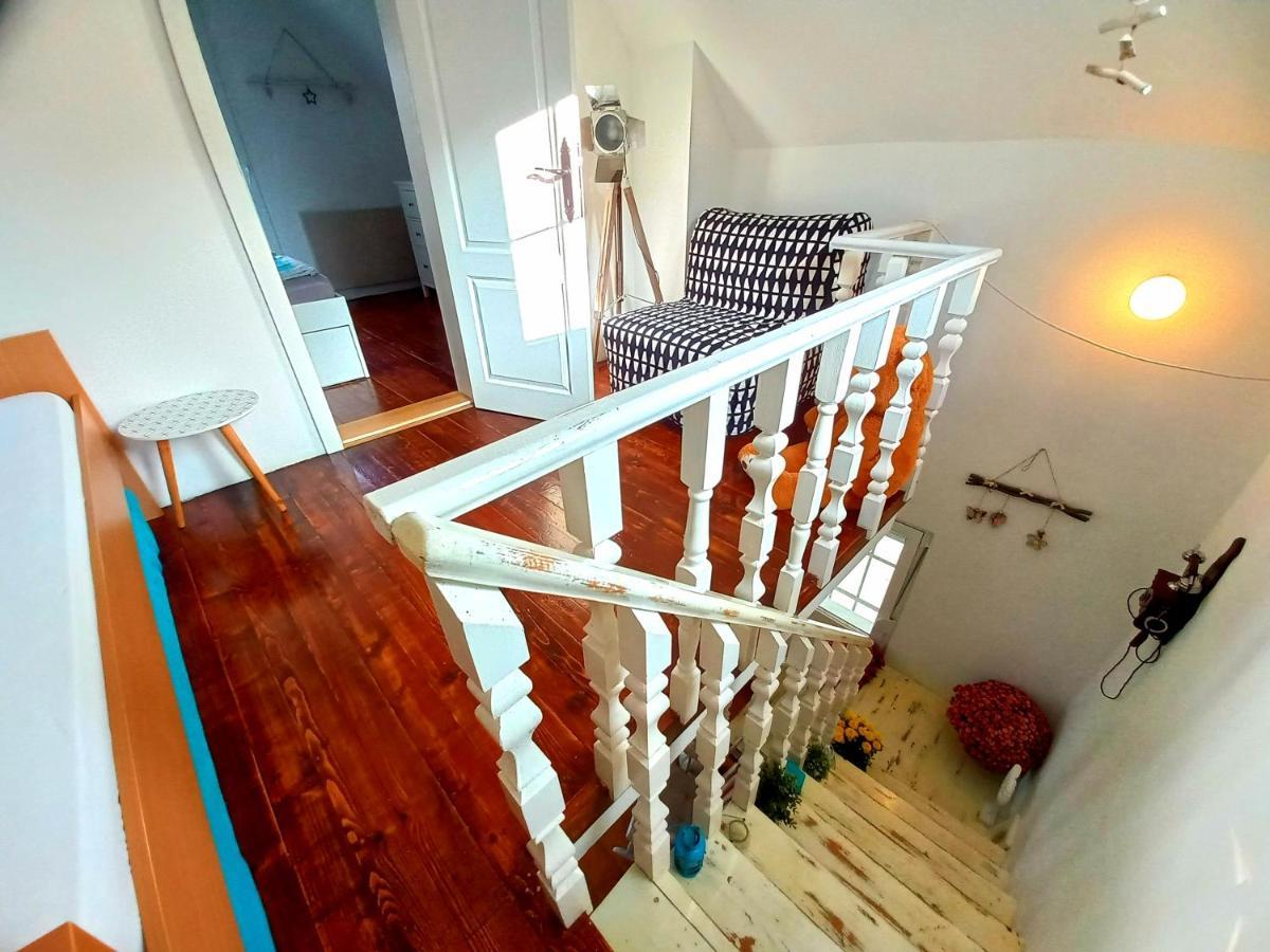 Honey Hill Apartment Fruska Gora Cerevic Екстериор снимка