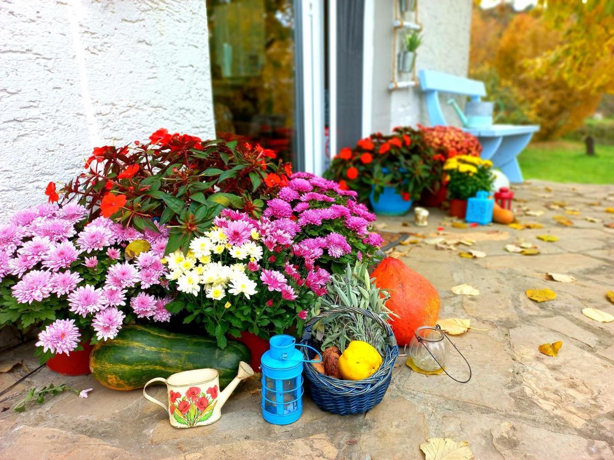 Honey Hill Apartment Fruska Gora Cerevic Екстериор снимка