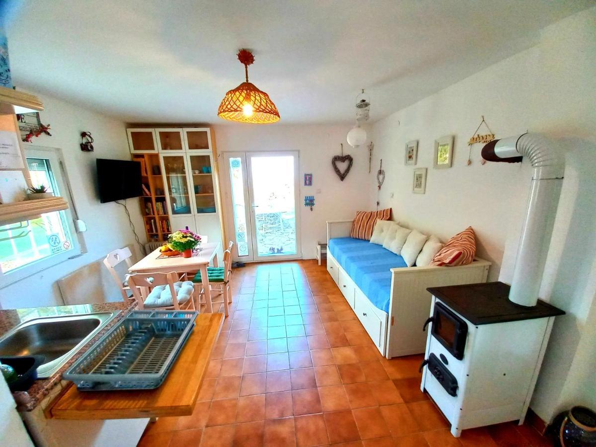 Honey Hill Apartment Fruska Gora Cerevic Екстериор снимка