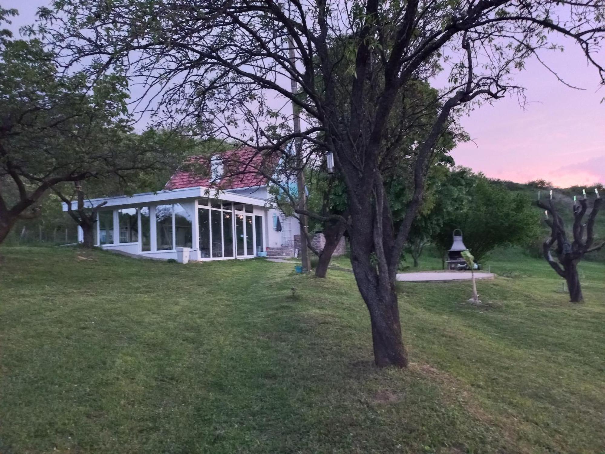 Honey Hill Apartment Fruska Gora Cerevic Екстериор снимка